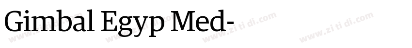 Gimbal Egyp Med字体转换